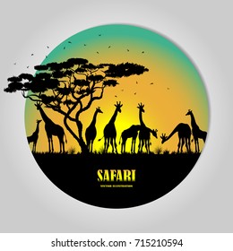 Visual drawing silhouette of beautiful giraffe family in safari with wild and sunset background for vector illustration,travel concept