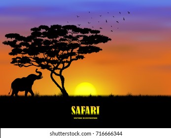 Visual drawing silhouette of beautiful one elephant in safari with wild and sunset background for vector illustration,travel concept