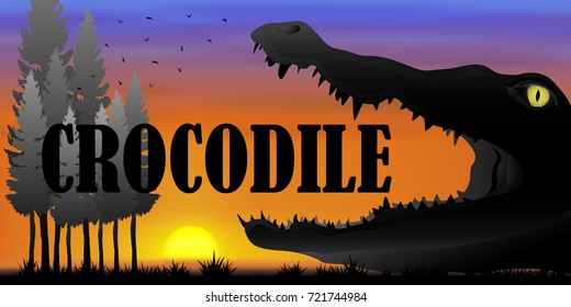 Visual drawing silhouette of crocodile and crocodile  text in the desert with nature and sunset background for vector illustration,travel concept