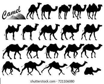 Visual drawing silhouettes of camel animal wildlife collection in the desert or zoo with black and white vector illustration