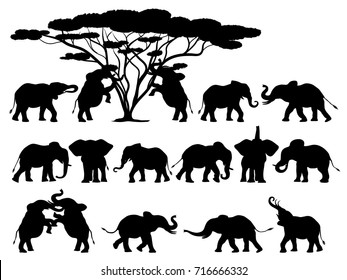 Visual drawing silhouettes of elephant animal wildlife collection in Africa or Savannah abstract black and white vector illustration