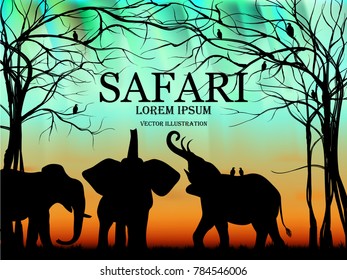 Visual drawing silhouettes of elephant animal wildlife collection in Africa or Savannah abstract black and white vector illustration