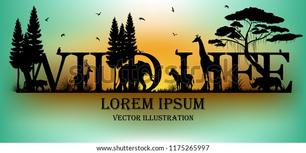 Visual drawing of wild life text design and silhouette of animal in Africa landscape with wildlife and aurora background for vector illustration.