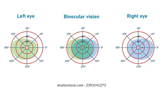 The visual field of the left and right eye. Binocular fusion and depth perception. Scientific resources for teachers and students.