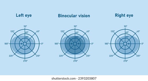 El campo visual del ojo izquierdo y derecho. Fusión binocular y percepción de profundidad. Recursos científicos para profesores y estudiantes.