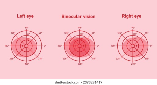The visual field of the left and right eye. Binocular fusion and depth perception. Scientific resources for teachers and students.