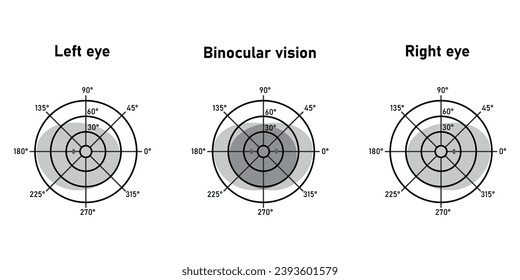 The visual field of the left and right eye. Binocular fusion and depth perception. Scientific resources for teachers and students.