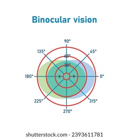 The visual field of the left and right eye. Binocular fusion and depth perception. Scientific resources for teachers and students.