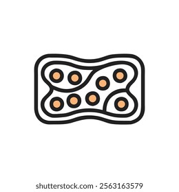 Visual Guide to Columnar Cells Anatomy