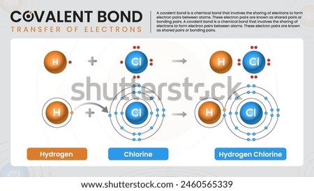 Visual Guide to Covalent Bond Bonding and Electron Transfer-Chemistry Vector Infographics Design
