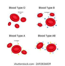 Visual Guide to Human Blood Types and Antigens
