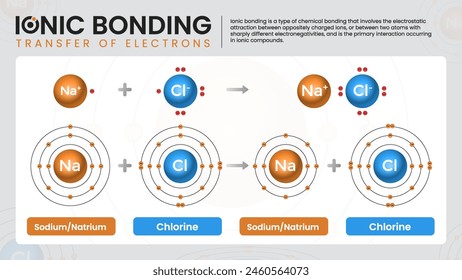 Visual Guide to Ionic Bonding and Electron Transfer-Chemistry Vector Infographics Design