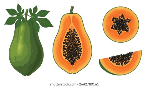 Uma viagem visual ao mundo da fruta da papaia sua anatomia e usos