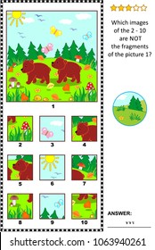 Visual logic puzzle with two little brown bears in the forest: Which images of the 2 - 10 are NOT the fragments of the picture 1?