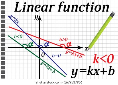 Visual Material About Linear Function Change Stock Vector (Royalty Free ...