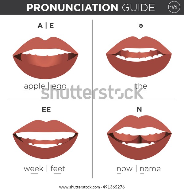 正しい英語の音の発音方法を示す口と視覚的な発音ガイド のベクター画像素材 ロイヤリティフリー