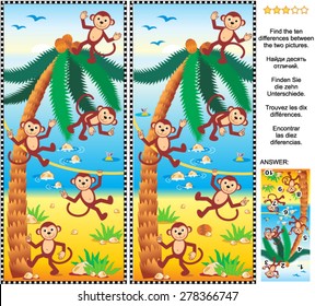 Visual puzzle: Find the ten differences between the two pictures - playful monkeys, beach, coconut palm. Answer included.
