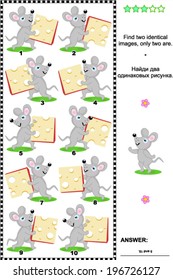 Visual puzzle: Find two identical images of happy mice with cheese slices (plus same task text in Russian). Answer included. 