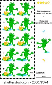 Visual puzzle: Find two identical images of playful frogs. Answer included. 