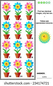 Visual puzzle: Find two identical images of potted flowers. Answer included. 