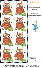 Visual puzzle: Find two identical pictures of cute wise owls. Answer included.
