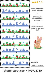 Visual puzzle: Match the pictures of beds with carrots to the shadows. Answer included.