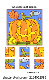 Visual puzzle with picture fragments. Halloween pumpkin in the night field. What does not belong?
