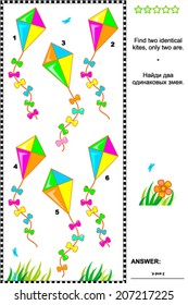 Visual puzzle or picture riddle: Find two identical kites. Answer included. 