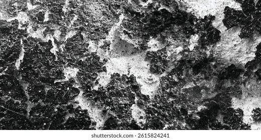 The Visual Remnants of a Landscape Long Forgotten

