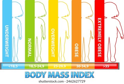 Visual representation of BMI categories