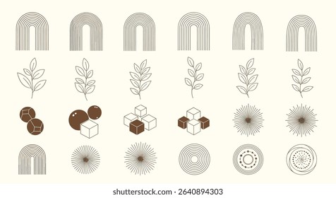 A Visual Symphony of Geometric Shapes Leaves Berries and Abstract Arrangements