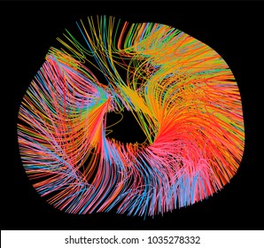 Visualization of data represented as a graph circle.