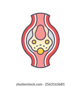 Visualizing Cartilage Tissue Anatomy for Education