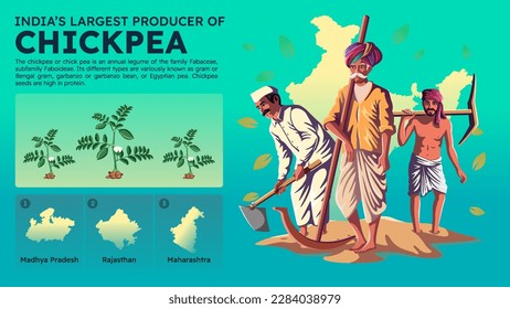 Visualizing India's Largest Chickpea Producing States and their Farmers - Vector Illustration