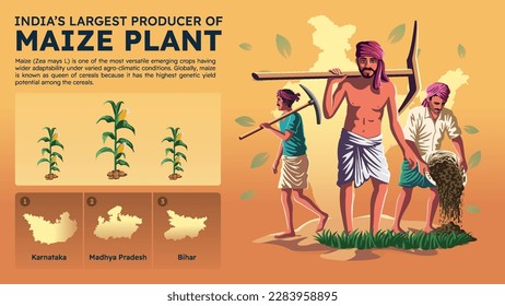 Visualizing India's Largest Maize-Corn Producing States and their Farmers - Vector Illustration