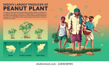 Visualizing India's Largest Peanut Producing States and their Farmers - Vector Illustration