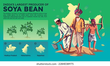 Visualizing India's Largest Soya Bean Producing States and their Farmers - Vector Illustration