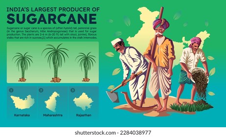 Visualizing India's Largest Sugarcane Producing States and their Farmers - Vector Illustration