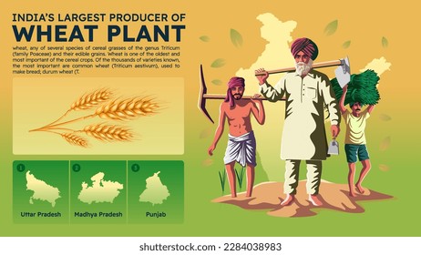 Visualizing India's Largest Wheat Producing States and their Farmers - Vector Illustration