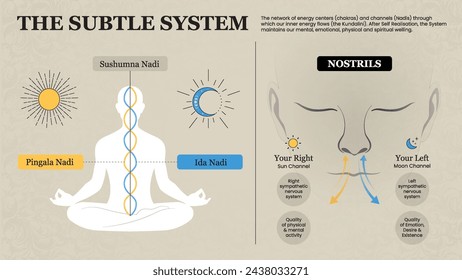 El sistema de yoga sutil Vector infografías 