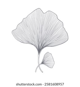 Ilustração vetorial visualmente atraente de uma folha de ginkgo é apresentada em um fundo branco em branco.