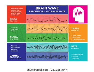 A visually captivating representation showcasing various types of brainwave patterns generated by human brain activity, vector illustration.