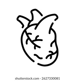 A visually engaging line icon showing human heart anatomy