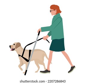 Visually Impaired Woman Walking With Her Guide Dog.