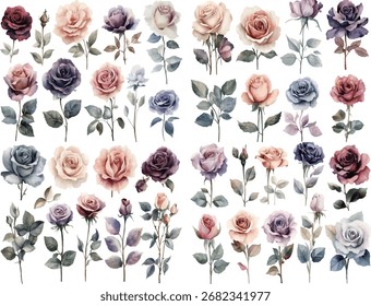 Eine visuell reichhaltige Kollektion, die eine große Auswahl an wunderschön gerenderten Aquarellrosen zeigt