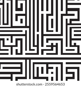A visually striking abstract design featuring a series of intricate, interwoven black and white lines and shapes.