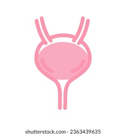 Órgano vital. Órgano humano de vejiga. Ilustración vectorial aislada en fondo blanco.