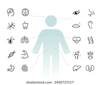 Vitalitäts-Icon-Set für Produkte zur Verbesserung der menschlichen Lebensqualität. Die Gliederungssymbole sind gut skalierbar und bearbeitbar. Bereit für Ihr Design. EPS10.
