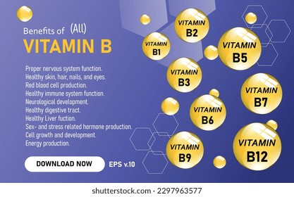 Vitamin A, B1, B2, B3, B5, B6, B7, B9, B12, K, C, D, E vector illustration and their essential benefits and supports for health. can be used for print, poster, leaflets, children books and sticker.