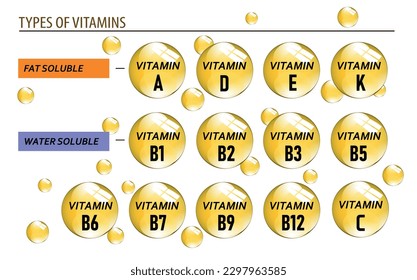Vitamin A, B1, B2, B3, B5, B6, B7, B9, B12, K, C, D, E vector illustration and their essential benefits and supports for health. can be used for print, poster, leaflets, children books and sticker.